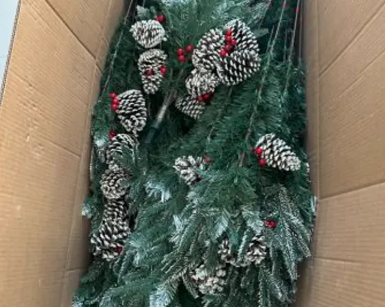 New Christmas tree, unopened Tbilisi