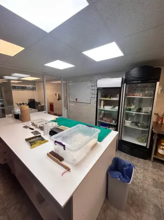 Იყიდება მზა ბიზნესი თბილისი