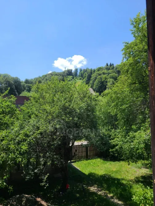 სახლი 800м² თბილისი - photo 3