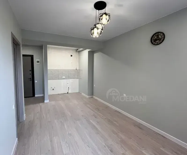 Apartments For Sale two-room 46м² 7/12 floor Tbilisi - photo 16