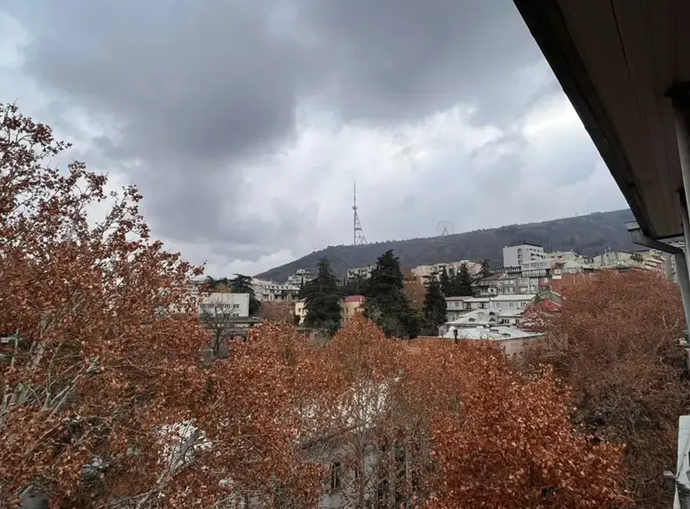 Apartments For Rent four-room 160м² 6/7 floor Tbilisi - photo 16