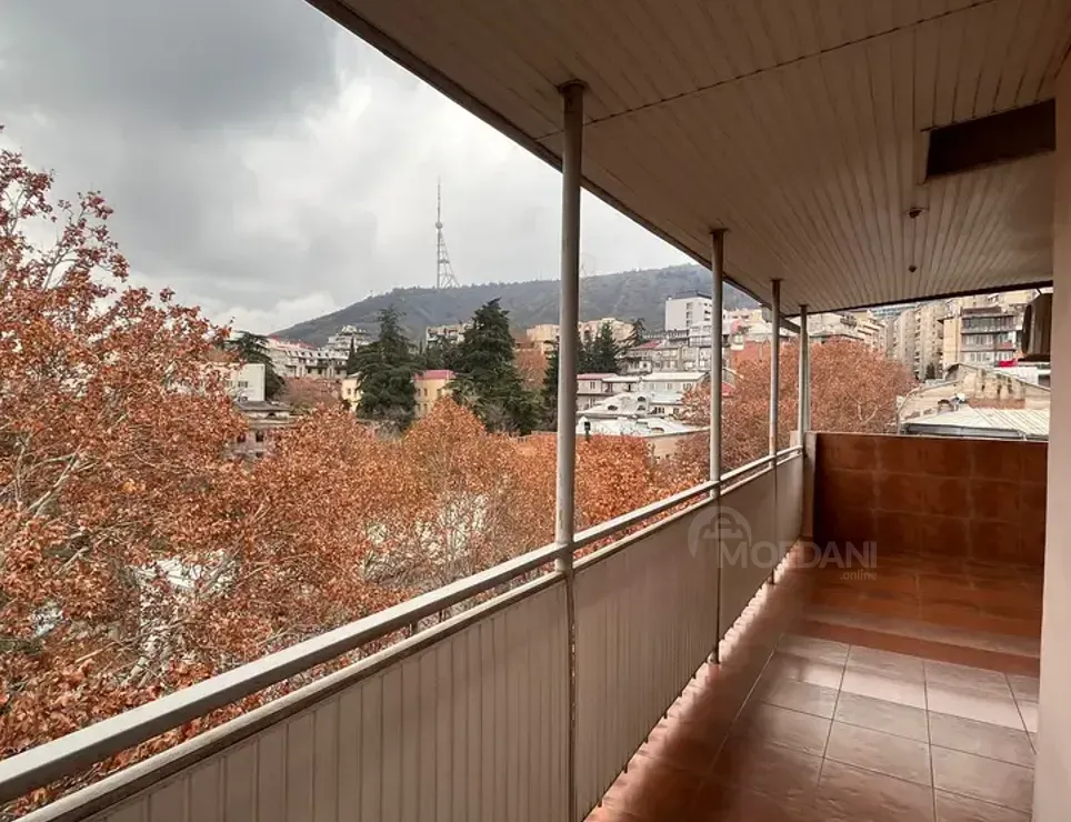 Apartments For Rent four-room 160м² 6/7 floor Tbilisi - photo 10