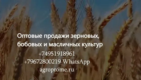 ООО Агропром - оптовая реализация продуктов питания экспорт Тбилиси