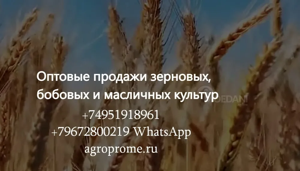 ООО Агропром - оптовая реализация продуктов питания экспорт Тбилиси - изображение 1