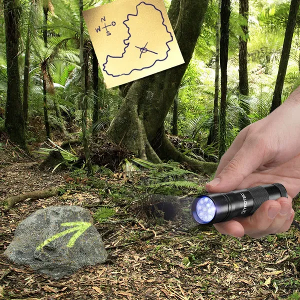 Ультрафиолетовый фонарик Тбилиси - изображение 10