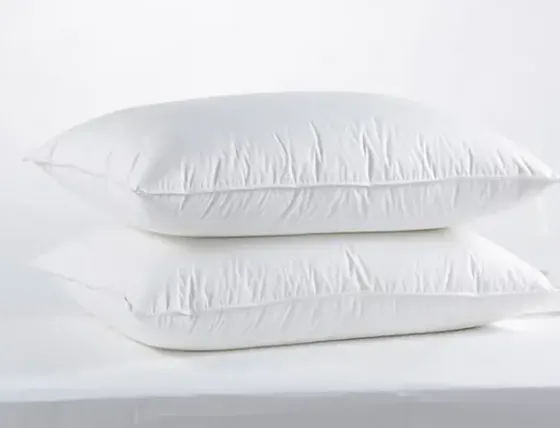 Останки Тбилиси