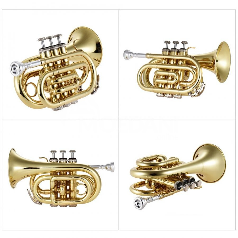 Pocket Trumpet ჯიბის საყვირი "აკუსტიკა" თბილისი - photo 1