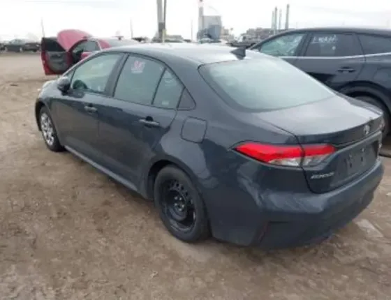 Toyota Corolla 2L 2024 თბილისი