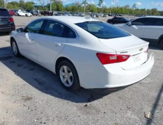 Chevrolet Malibu 2024 თბილისი