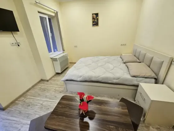 Apartments For Rent one-room 30м² 1/3 floor Tbilisi