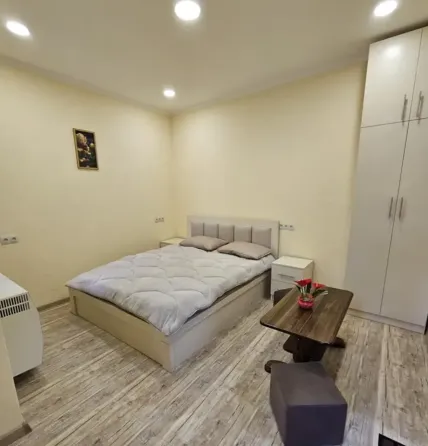 Apartments For Rent one-room 30м² 1/3 floor Tbilisi