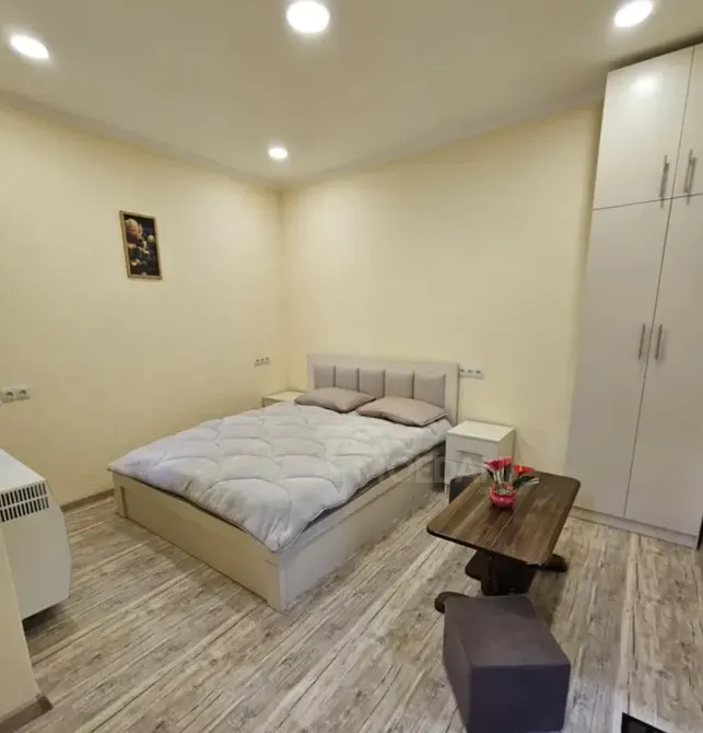 Apartments For Rent one-room 30м² 1/3 floor Tbilisi - photo 1