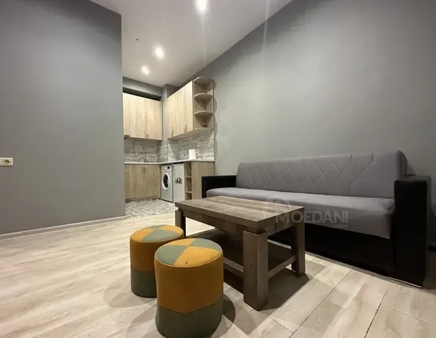 ქირავდება 2 ოთახიანი ბინა 38მ² 6/10 სართ თბილისი - photo 3