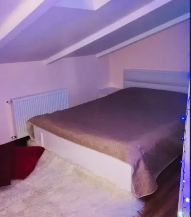 ქირავდება 3 ოთახიანი ბინა დღიურად ბორჯომი  57მ² 4/4 სართ ბორჯომი