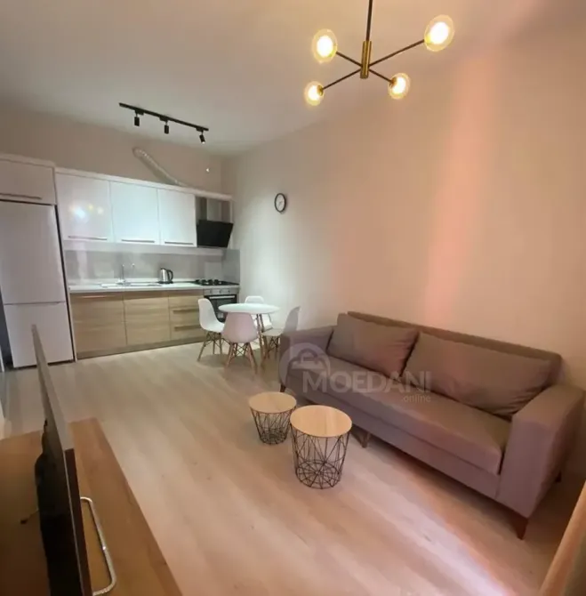 ქირავდება 2 ოთახიანი ბინა 50მ² 5/9 სართ თბილისი - photo 5