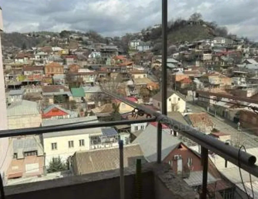 ქირავდება 1 ოთახიანი ბინა 35მ² 9/10 სართ თბილისი - photo 3