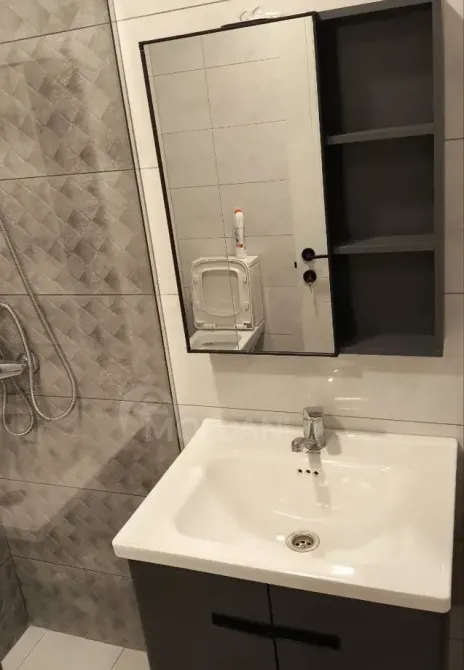 Apartments For Rent two-room 53м² 10/11 floor Tbilisi - photo 9