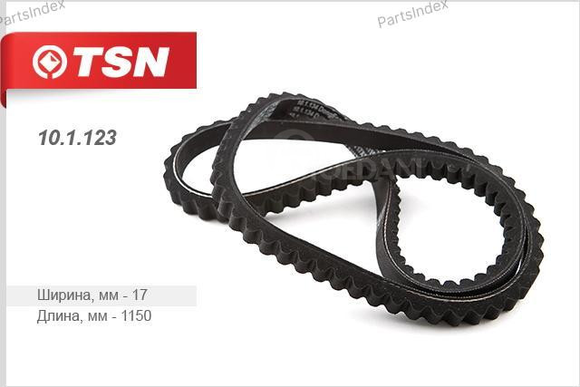 Timing belt TSN 10.1.123 Tbilisi - photo 1