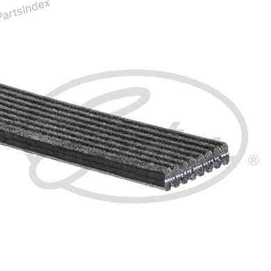 Timing belt Gates 8DPK1445 Tbilisi