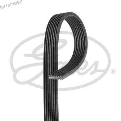 Timing belt Gates 8DPK1445 Tbilisi