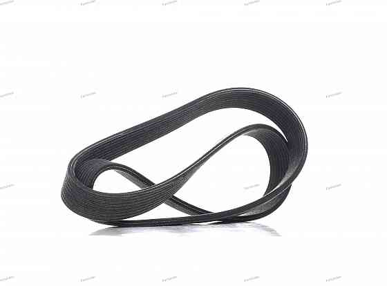 Timing belt Dayco 8DPK1355 Tbilisi