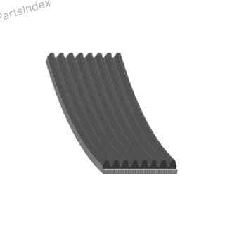 Timing belt Febi bilstein 29037 Tbilisi