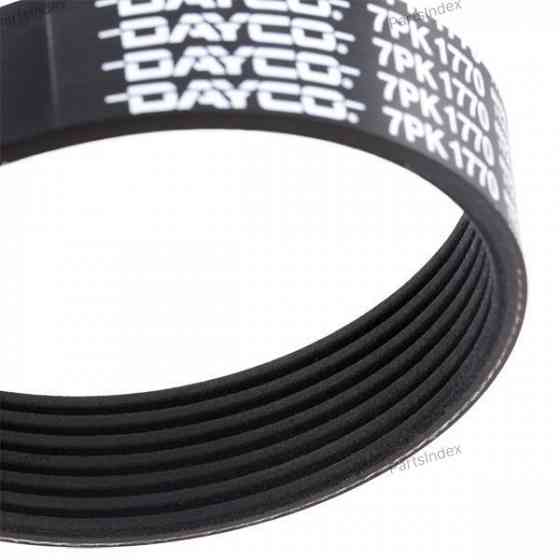Timing belt Dayco 7PK1770 Tbilisi