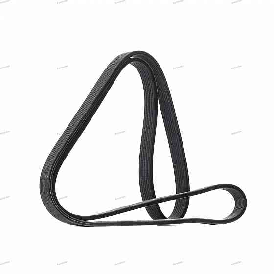 Timing belt Dayco 7DPK1697 Tbilisi