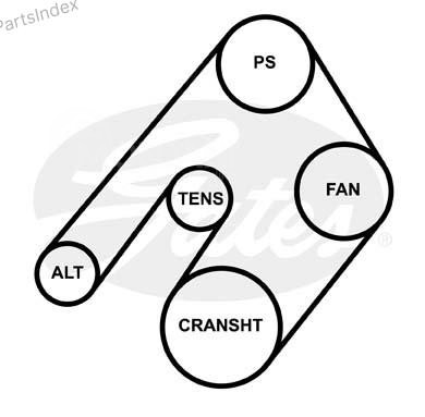 ძრავის გარე ღვედი  Gates 6PK1763 თბილისი - photo 4