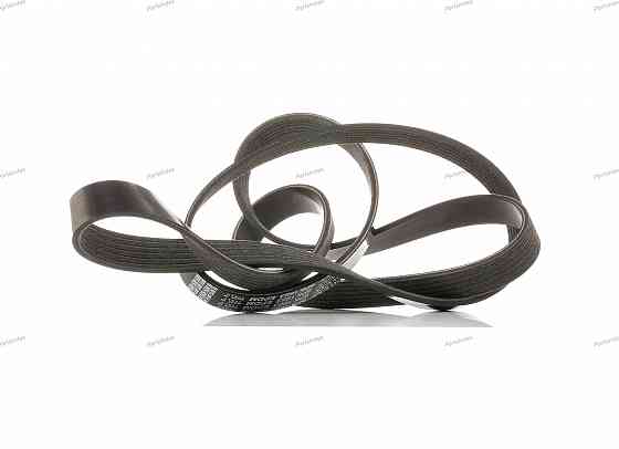 ძრავის გარე ღვედი  Dayco 6PK1663S თბილისი