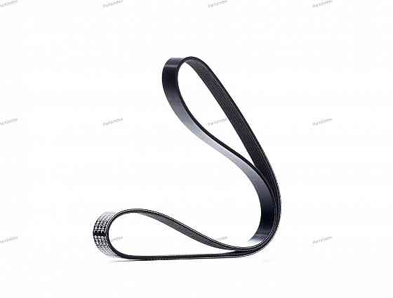 Timing belt Dayco 6PK1026S Tbilisi