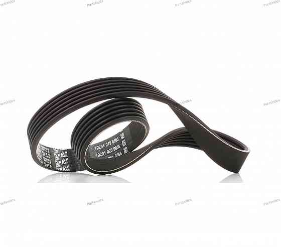 ძრავის გარე ღვედი  Dayco 6PK736 თბილისი