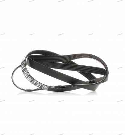 V-Ribbed Belt Dayco 5PK1588 Tbilisi