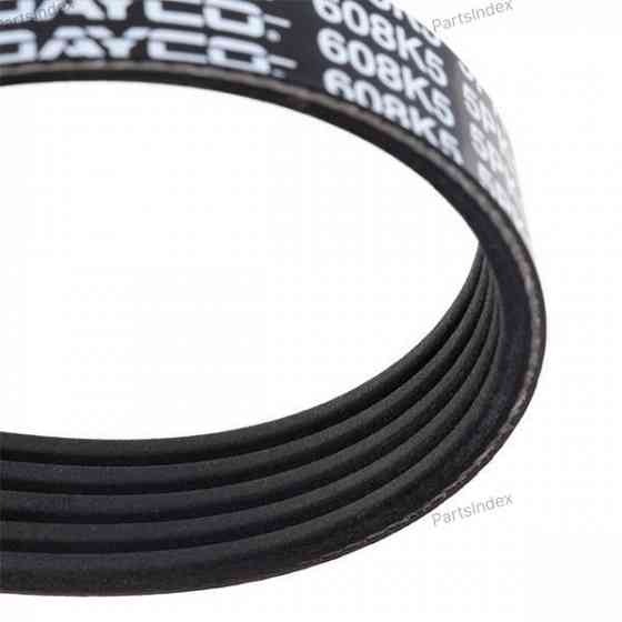 V-Ribbed Belt Dayco 5PK1545 Tbilisi