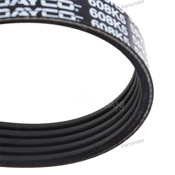 V-Ribbed Belt Dayco 5PK1545 Tbilisi - photo 2