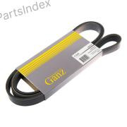 V-Ribbed Belt Ganz GIE37301 Tbilisi - photo 3