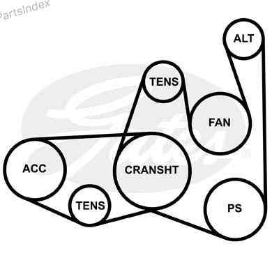 V-Ribbed Belt Gates 5PK1435 Tbilisi