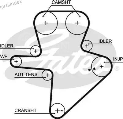 კბილანა ღვედი (ზუბჩატი რემენი) kbilana remeni Gates 5586XS თბილისი - photo 1