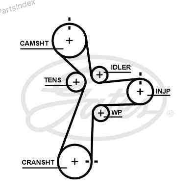 კბილანა ღვედი (ზუბჩატი რემენი) kbilana remeni Gates 5696XS თბილისი