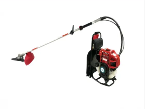 Gasoline lawn mower with backrest Tbilisi