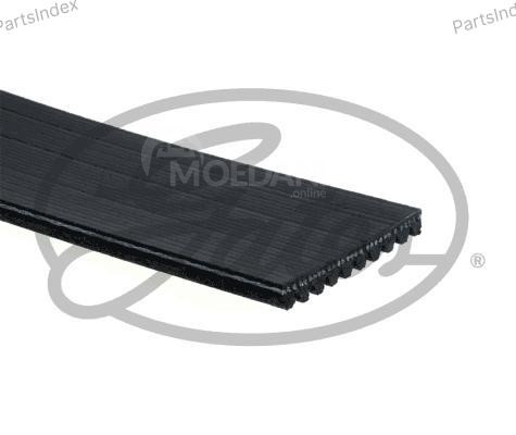 ძრავის გარე ღვედი  Gates 10PK1675HD თბილისი - photo 2