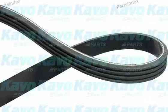 ძრავის გარე ღვედი  Kavo parts DMV-6508 თბილისი