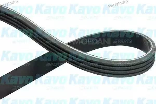 ძრავის გარე ღვედი  Kavo parts DMV-6508 თბილისი - photo 2