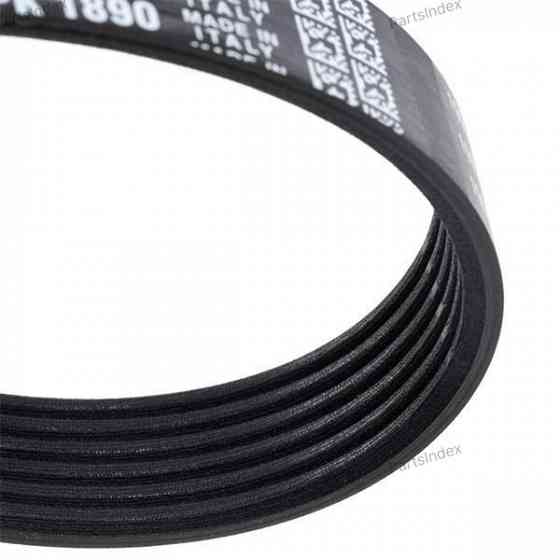 ძრავის გარე ღვედი  Dayco 6PK1890 თბილისი