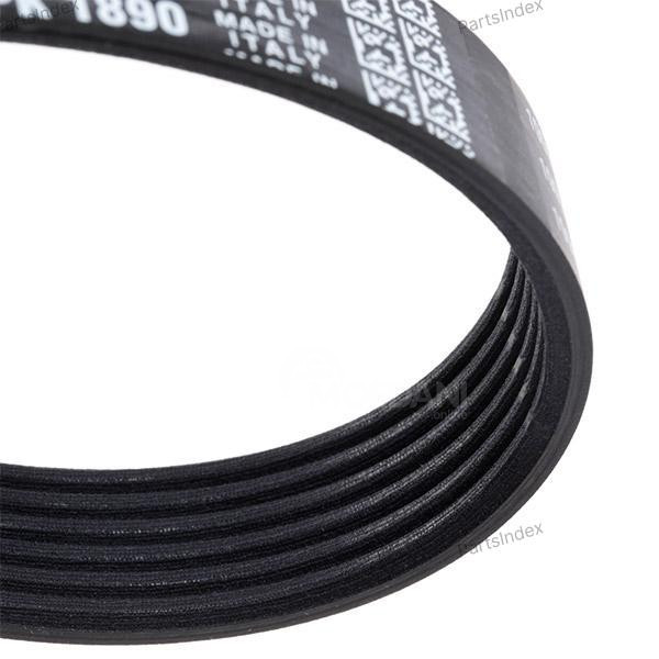 ძრავის გარე ღვედი  Dayco 6PK1890 თბილისი - photo 2