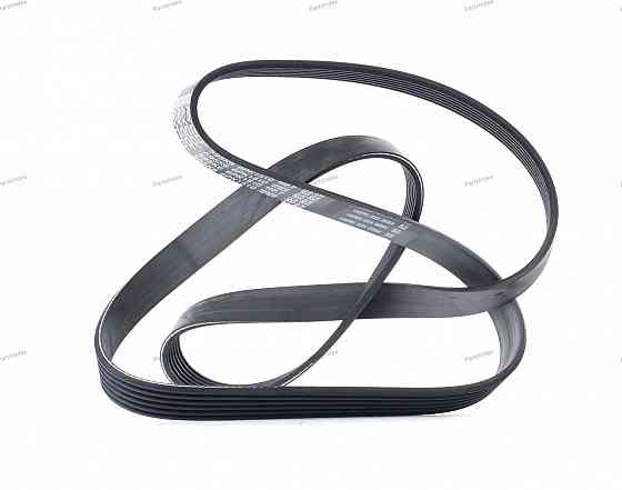 ძრავის გარე ღვედი  Dayco 6PK1510 თბილისი