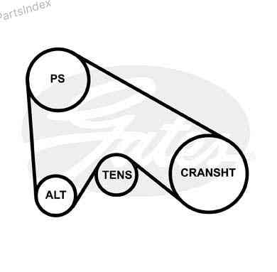 ძრავის გარე ღვედი  Gates 6PK1028 თბილისი