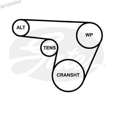 ძრავის გარე ღვედი  Gates 6PK1028 თბილისი