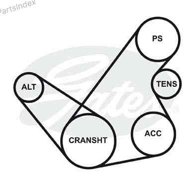 ძრავის გარე ღვედი  Gates 5PK1243 თბილისი