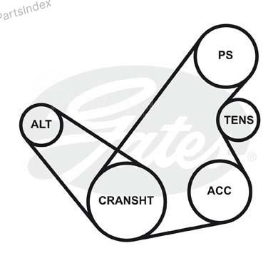 Ремень приводной Gates 5PK1243 Тбилиси - изображение 2